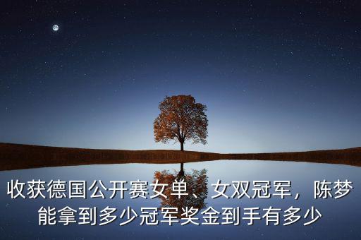 中網(wǎng)女單冠軍獎(jiǎng)金多少,冠軍竟能獲百萬(wàn)獎(jiǎng)金
