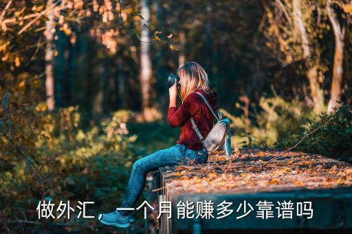 做外匯，一個月能賺多少靠譜嗎