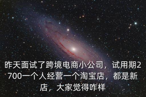 昨天面試了跨境電商小公司，試用期2700一個(gè)人經(jīng)營(yíng)一個(gè)淘寶店，都是新店，大家覺得咋樣