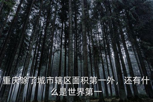 重慶除了城市轄區(qū)面積第一外，還有什么是世界第一