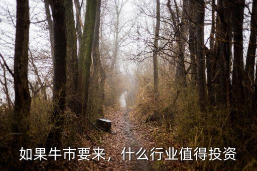 牛市過后投資什么,現(xiàn)階段國(guó)內(nèi)什么投資風(fēng)險(xiǎn)小