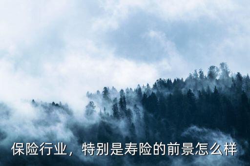 保險行業(yè)，特別是壽險的前景怎么樣