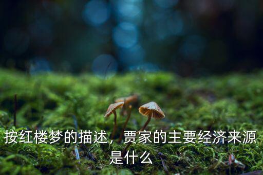 經(jīng)濟(jì)家書(shū)是什么,家書(shū)是一種什么性質(zhì)的書(shū)