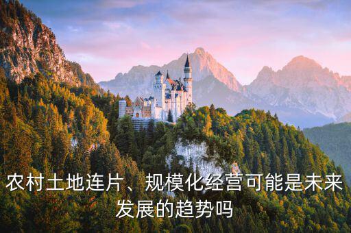 農(nóng)村土地連片、規(guī)?；?jīng)營可能是未來發(fā)展的趨勢嗎