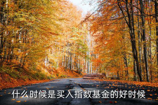指數(shù)基金什么時候買,什么時候續(xù)回