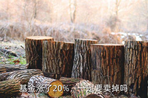 基金漲到多少適合賣(mài)出去,基金漲了20%