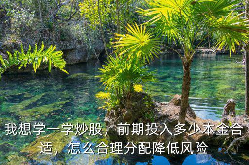 我想學(xué)一學(xué)炒股，前期投入多少本金合適，怎么合理分配降低風(fēng)險(xiǎn)