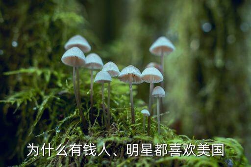 為什么有錢人、明星都喜歡美國
