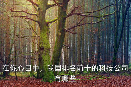 在你心目中，我國(guó)排名前十的科技公司有哪些