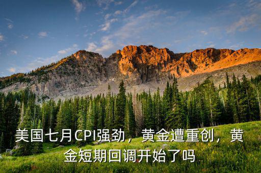 美國七月CPI強勁，黃金遭重創(chuàng)，黃金短期回調(diào)開始了嗎