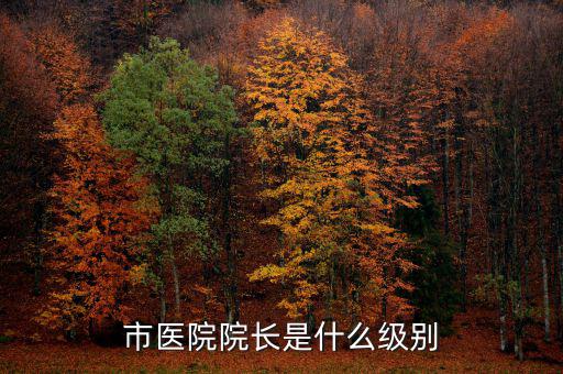 宋志平是什么級(jí)別,快退休公務(wù)員一般是什么級(jí)別
