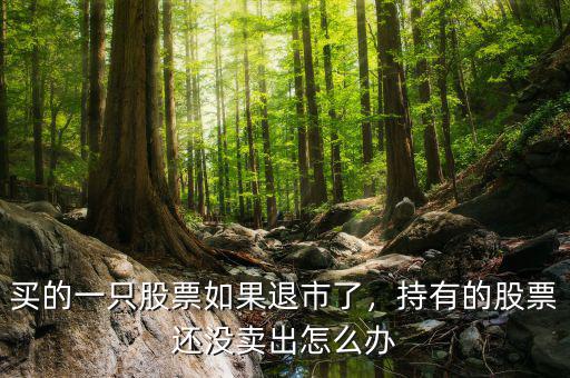 買的一只股票如果退市了，持有的股票還沒(méi)賣出怎么辦