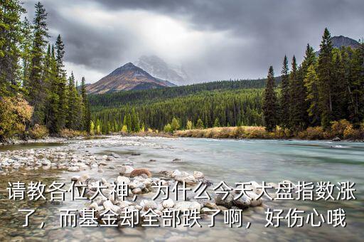 請(qǐng)教各位大神，為什么今天大盤指數(shù)漲了，而基金卻全部跌了啊，好傷心哦