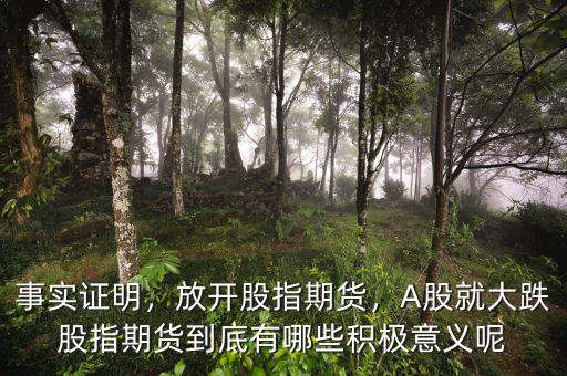 事實證明，放開股指期貨，A股就大跌股指期貨到底有哪些積極意義呢