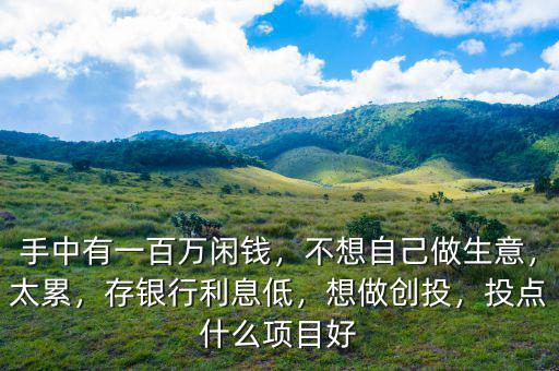 手中有一百萬(wàn)閑錢，不想自己做生意，太累，存銀行利息低，想做創(chuàng)投，投點(diǎn)什么項(xiàng)目好