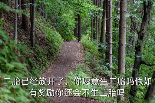 二胎已經(jīng)放開了，你愿意生二胎嗎假如有獎勵你還會不生二胎嗎