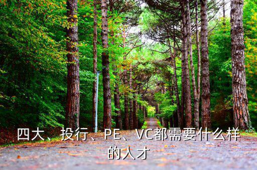 四大、投行、PE、VC都需要什么樣的人才