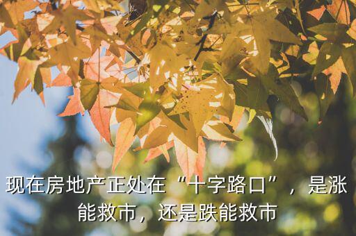 現(xiàn)在房地產正處在“十字路口”，是漲能救市，還是跌能救市