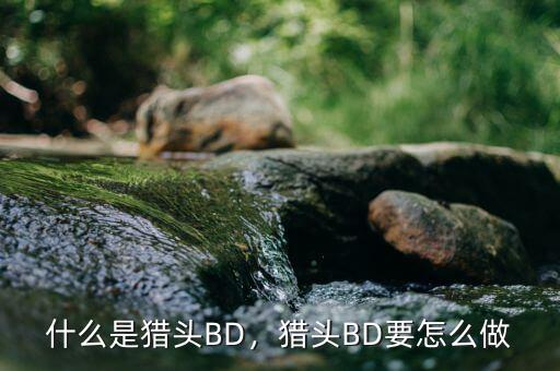什么是獵頭BD，獵頭BD要怎么做
