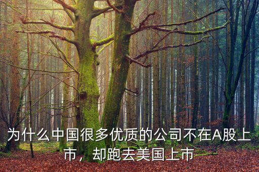 為什么中國很多優(yōu)質(zhì)的公司不在A股上市，卻跑去美國上市