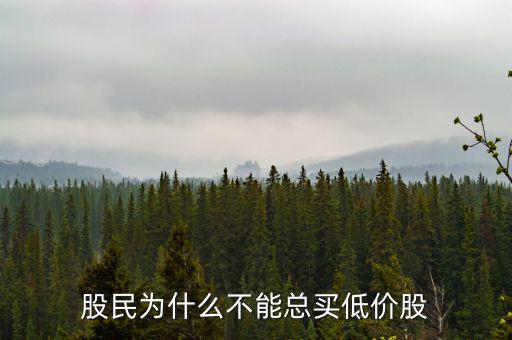 股民為什么不能總買(mǎi)低價(jià)股
