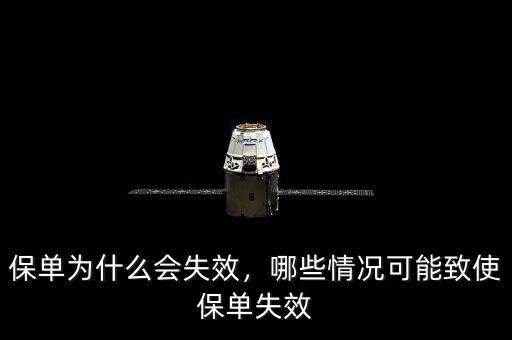 保單失效的結果是什么,哪些情況可能致使保單失效