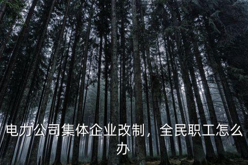 電力公司集體企業(yè)改制，全民職工怎么辦