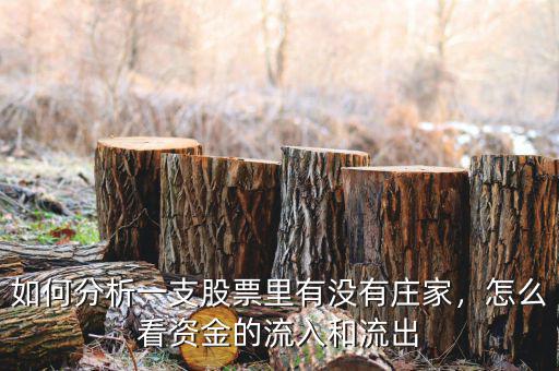如何分析一支股票里有沒有莊家，怎么看資金的流入和流出