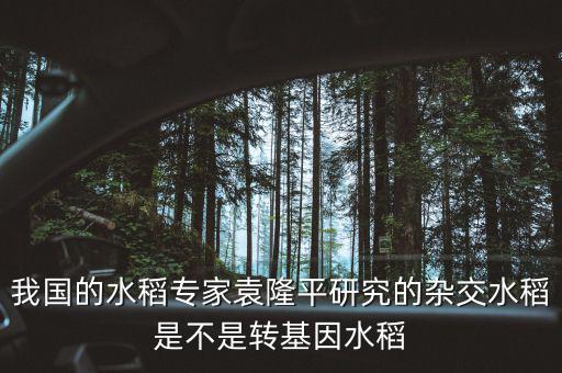 我國(guó)的水稻專(zhuān)家袁隆平研究的雜交水稻是不是轉(zhuǎn)基因水稻