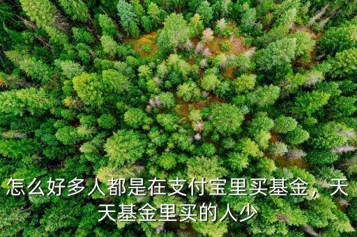 怎么好多人都是在支付寶里買基金，天天基金里買的人少