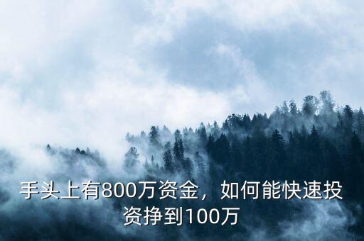 手頭上有800萬資金，如何能快速投資掙到100萬