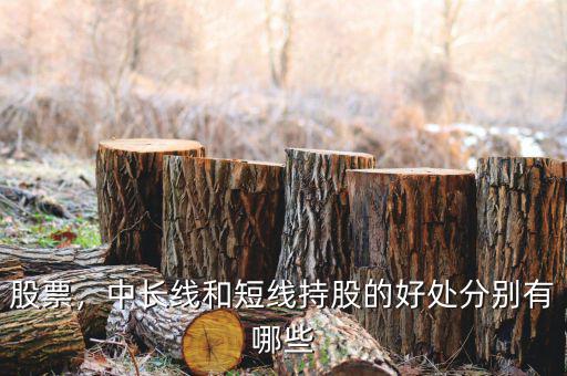 股票，中長線和短線持股的好處分別有哪些