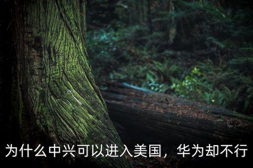 為什么中興可以進入美國，華為卻不行