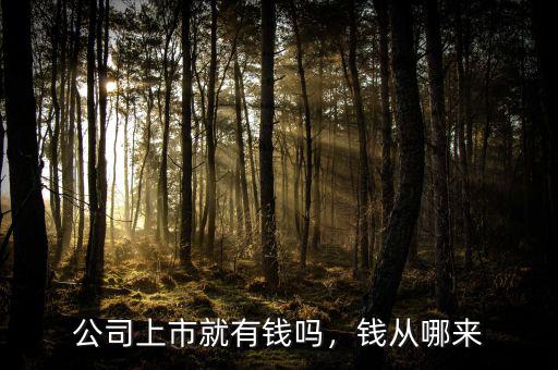 公司上市就有錢嗎，錢從哪來