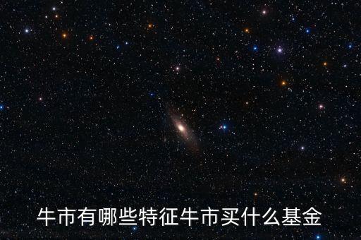 牛市有哪些特征牛市買什么基金