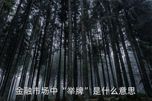 金融市場中“舉牌”是什么意思