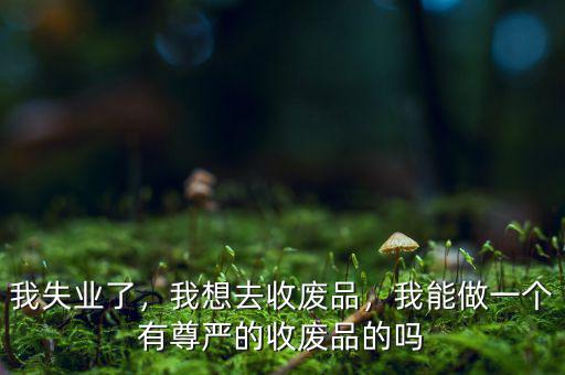 我失業(yè)了，我想去收廢品，我能做一個(gè)有尊嚴(yán)的收廢品的嗎
