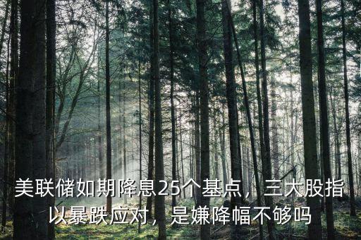 美聯(lián)儲如期降息25個(gè)基點(diǎn)，三大股指以暴跌應(yīng)對，是嫌降幅不夠嗎