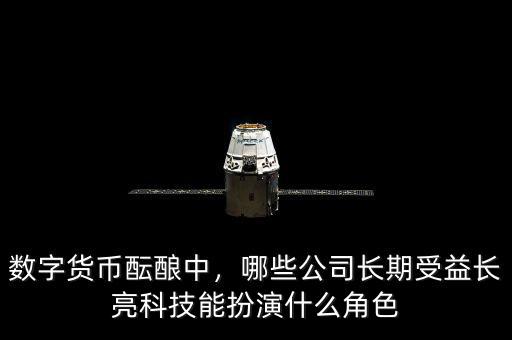 數(shù)字貨幣醞釀中，哪些公司長期受益長亮科技能扮演什么角色