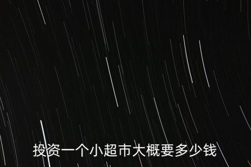 龍盟投資多少錢,投資一個(gè)小超市大概要多少錢