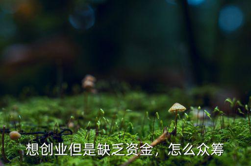 想創(chuàng)業(yè)但是缺乏資金，怎么眾籌