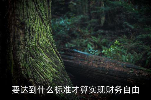 什么事是財務(wù)自由,財務(wù)自由定義是什么意思