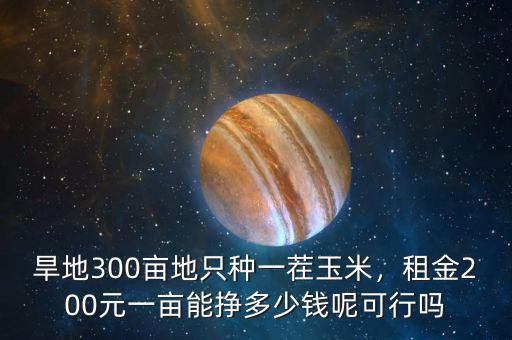 旱地300畝地只種一茬玉米，租金200元一畝能掙多少錢呢可行嗎