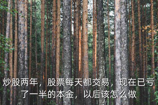 炒股兩年，股票每天都交易，現(xiàn)在已虧了一半的本金，以后該怎么做