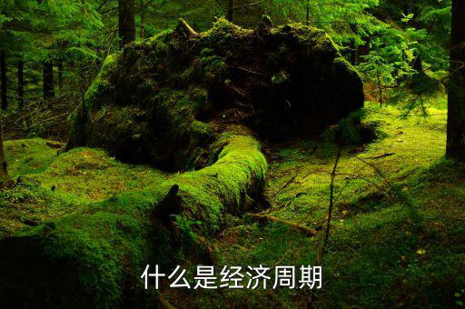 什么是經(jīng)濟周期