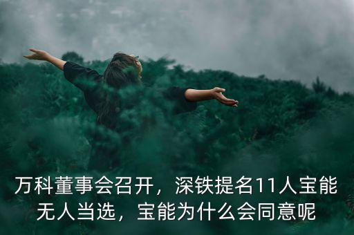 萬科董事會(huì)召開，深鐵提名11人寶能無人當(dāng)選，寶能為什么會(huì)同意呢