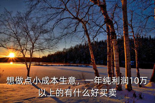 想做點小成本生意，一年純利潤10萬以上的有什么好買賣