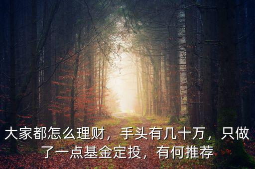 大家都定投了什么基金,只做了一點(diǎn)基金定投