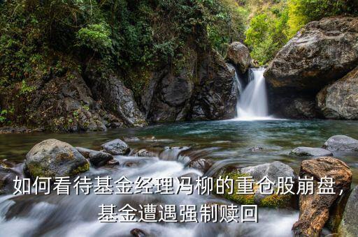 如何看待基金經(jīng)理馮柳的重倉(cāng)股崩盤，基金遭遇強(qiáng)制贖回