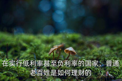 在實行低利率甚至負利率的國家，普通老百姓是如何理財?shù)? class=
